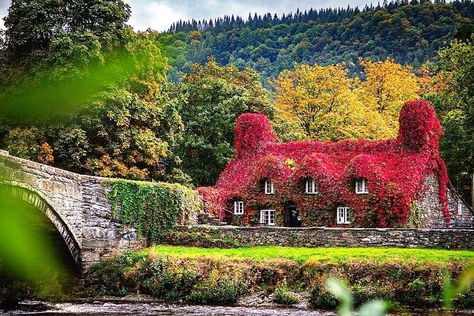 Portmeirion, Castles and Snowdonia Tour - What this North Wales day does well