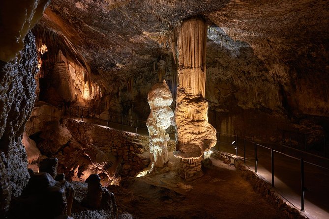 Postojna Cave & Predjama Castle from Trieste - Key points to know before booking