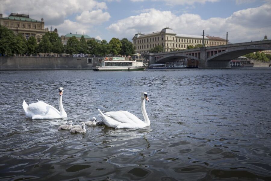 Prague: 3–Hour Castle Grounds Walking Tour and River Cruise - Exploring Prague Castle without entering the buildings