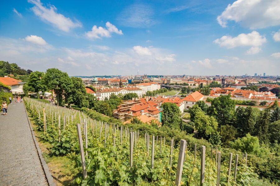 Prague Castle 2.5-Hour Tour Including Admission Ticket - The Old Royal Palace and Vladislav Hall