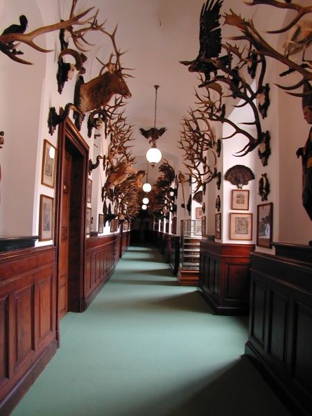 Prague: Karlštejn Castle Guided Tour with Entry Ticket - How the guides shape the day