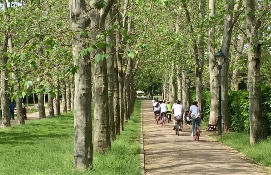 Prague: Stunning Viewpoints, Castle, City & Park E-Bike Tour - Key points at a glance