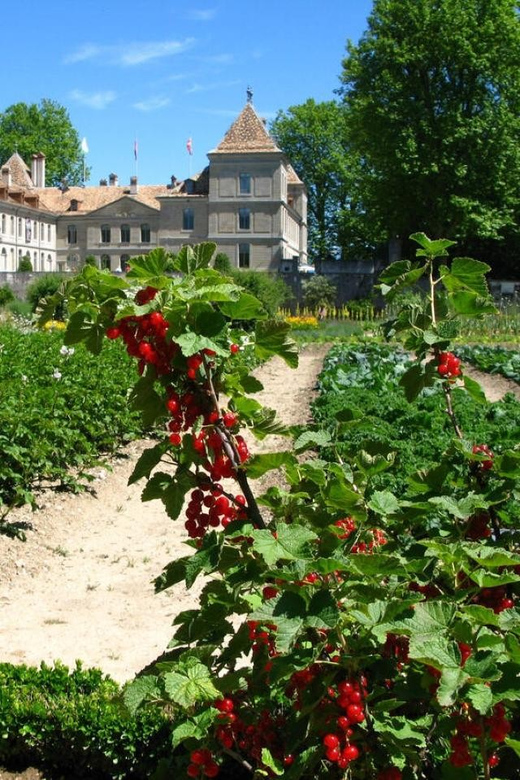 Prangins, Lake Geneva: Château de Prangins Entry Ticket - Should You Book Château de Prangins?