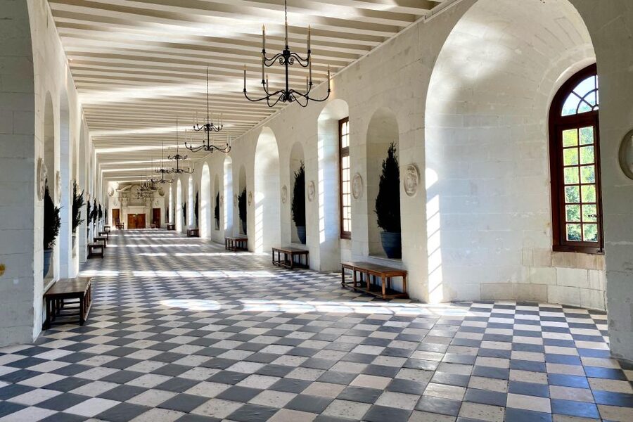 Private Chenonceau Chambord Amboise Loire Castles from Paris - Who should book this day trip?