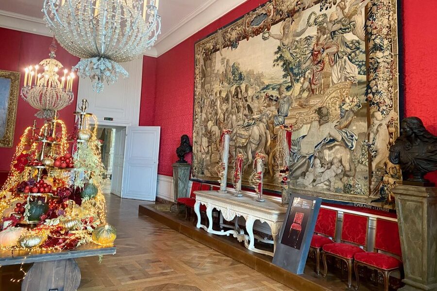 Private Chenonceau Chambord Amboise Loire Castles from Paris - The guide makes the difference