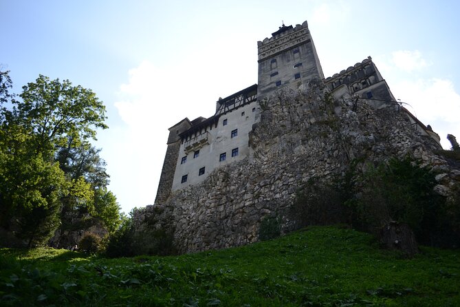 Private Day Tour: Dracula's Castle and Peles Castle - Transport, timing, and the real cost