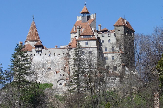 Private Day Tour from Brasov to Rasnov Fortress - Leaving Brasov at 8:30 am