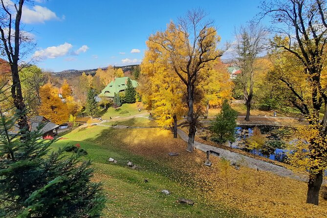 Private Day Tour in Transylvania, Peles and Bran Castles from Brasov - Transport, timing, and the true price