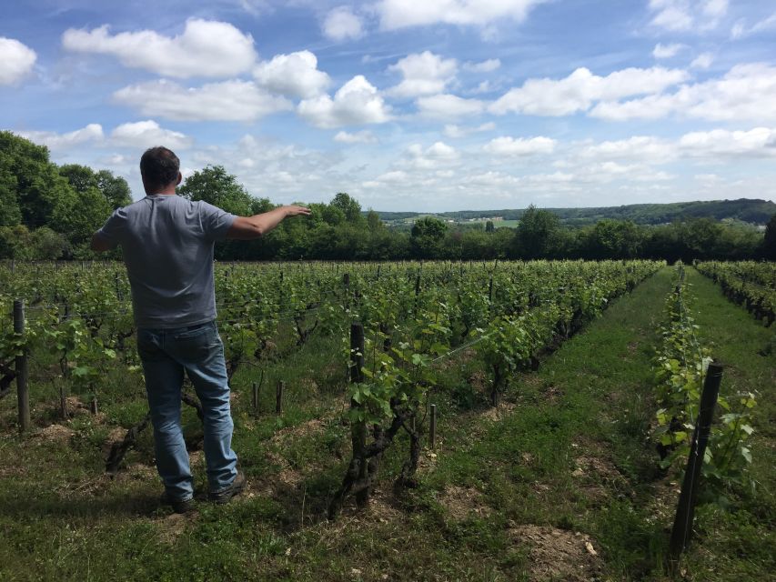Private Day Tour to Loire Valley Castles & Wines from Paris - Vineyard Views and a Short Growing Lesson