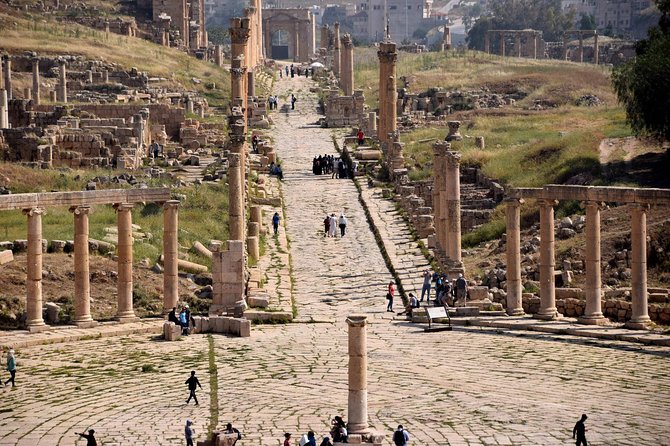 Private Day Trip to Jerash, Umm Qais and Ajloun Castle from Amman - Driver service and the guide question