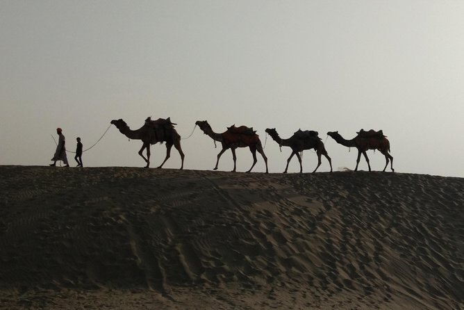 Private Heritage Walking Tour in Jaisalmer Fort and Old Bazaar - Jain temples and the fort’s carved details