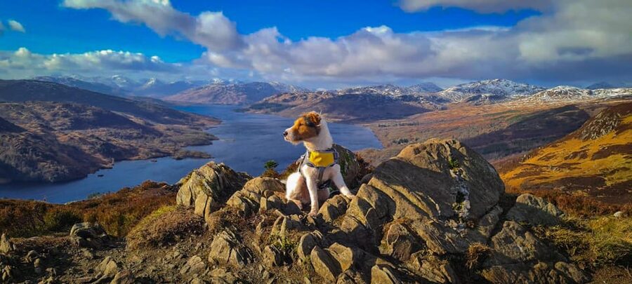 Private Tour of Highlands, Lochs & Castles from Edinburgh - The Three Sisters of Glencoe