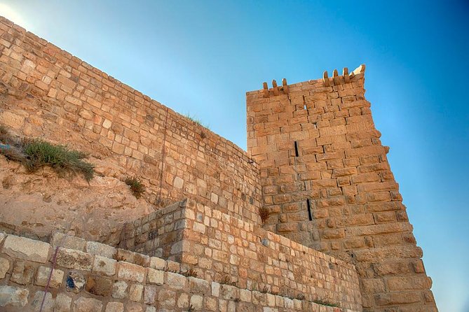 Private Tour Petra and Shobak Castle from Amman - Who will get the most from this private day