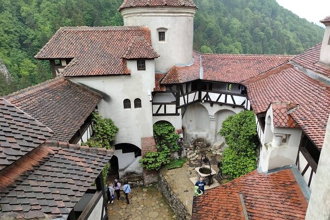 Private Tour to Dracula's Castle, Brașov City & Peleș Castle - Why private transport matters on this route