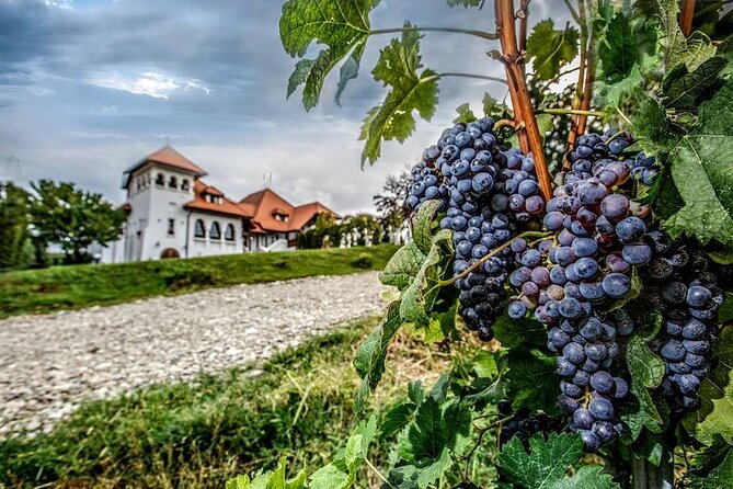 Private Tour to Salt Mine, Lunch at Winery and Dracula Grave - Timing, price, and what you really pay