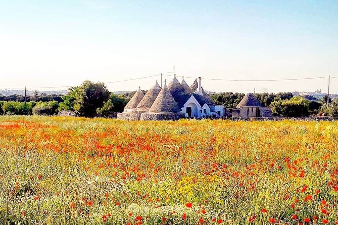 Puglia Full-Day Tour: Bari, Trulli of Alberobello, Castel del Monte and Sassi of Matera - One day, four very different Puglia sights