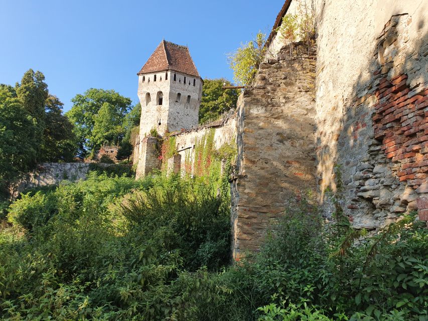 Real Dracula Princely Court and Real Dracula's Fortress - Who should book this private day?