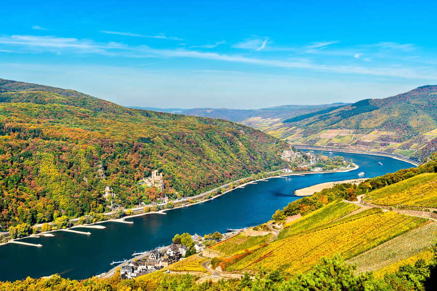 Rhine Valley Castles: 1.5-Hour Boat Tour from Rüdesheim - Key points to know before boarding