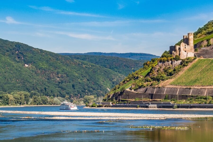 Rhine Valley Castles: 1.5-Hour Boat Tour from Rüdesheim - Who will enjoy this cruise most?