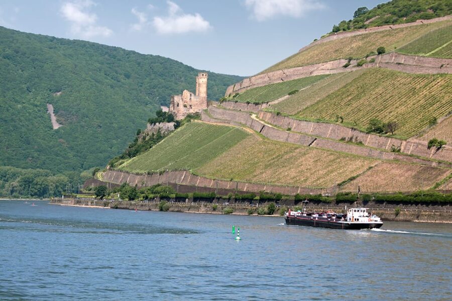Rhine Valley Castles: 1.5-Hour Boat Tour from Rüdesheim - Ehrenfels ruins and the Mouse Tower at Binger Loch