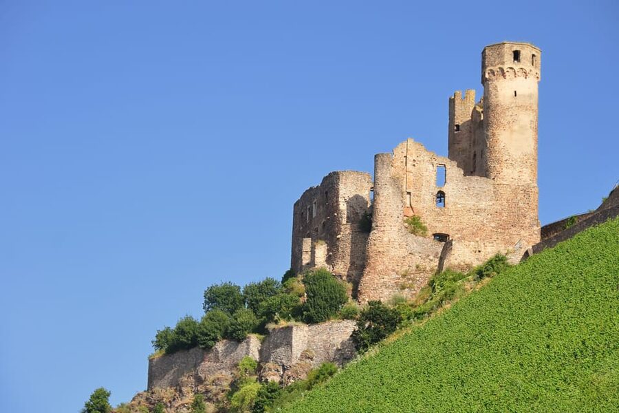 Rhine Valley Castles: 1.5-Hour Boat Tour from Rüdesheim - Bingen, Klopp Castle, and the meeting of two rivers