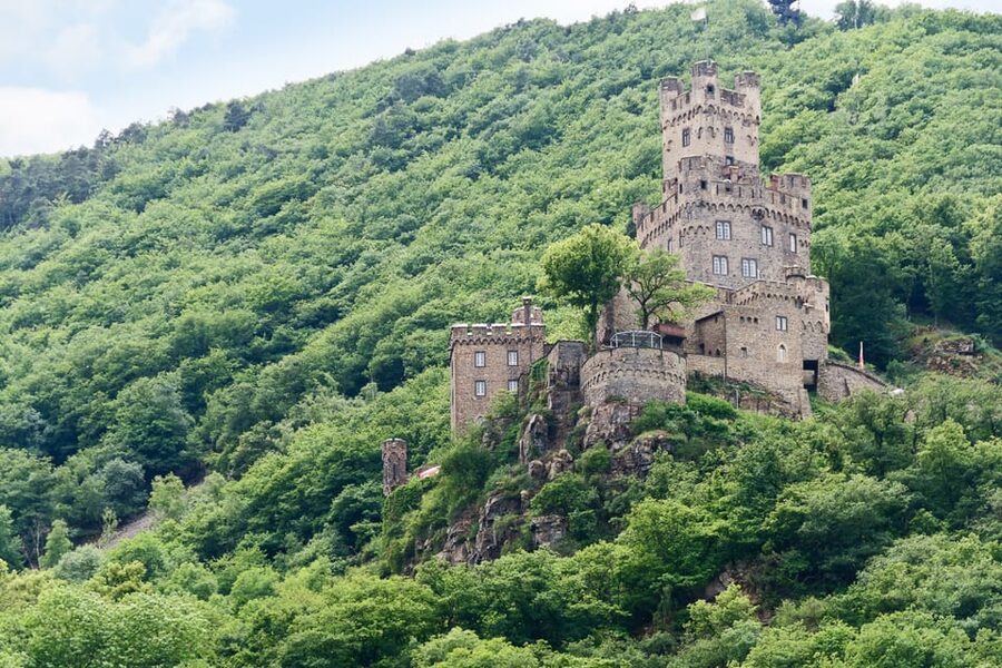 Rhine Valley Castles: 1.5-Hour Boat Tour from Rüdesheim - Assmannhausen and the Niederwald Monument