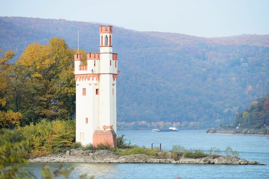 Rhine Valley Castles: 1.5-Hour Boat Tour from Rüdesheim - Is $19 a fair price?