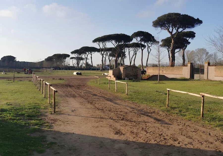 Rome: Horseback Riding Experience in Castel Fusano - Why Castel Fusano makes sense for a Rome horse ride