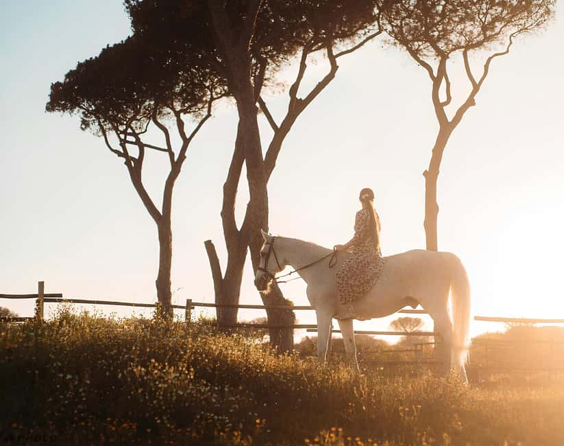 Rome: Horseback Riding Experience in Castel Fusano - Following the forest trails for one hour