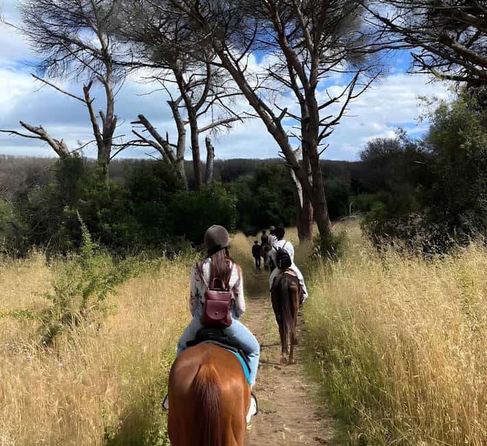 Rome: Horseback Riding Experience in Castel Fusano - The first few minutes: meeting your horse