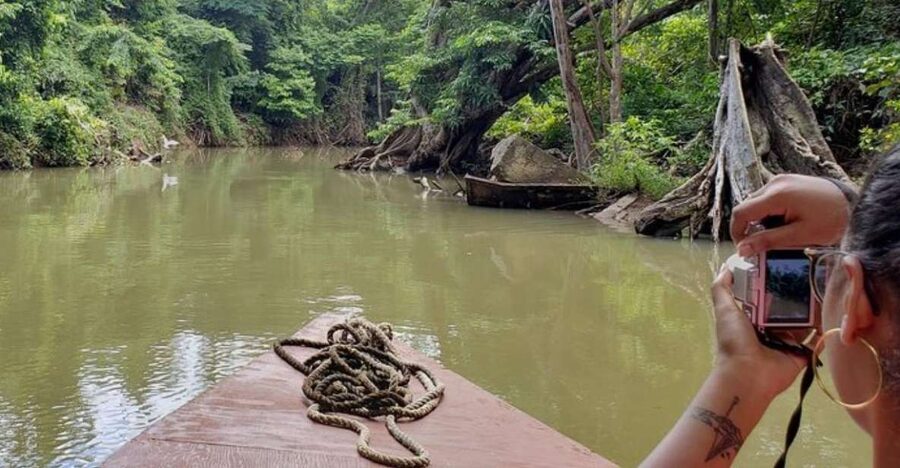 Roseau: Indian River and Fort Shirley Tour with Lunch - Food, rum, and a taste of everyday Dominica
