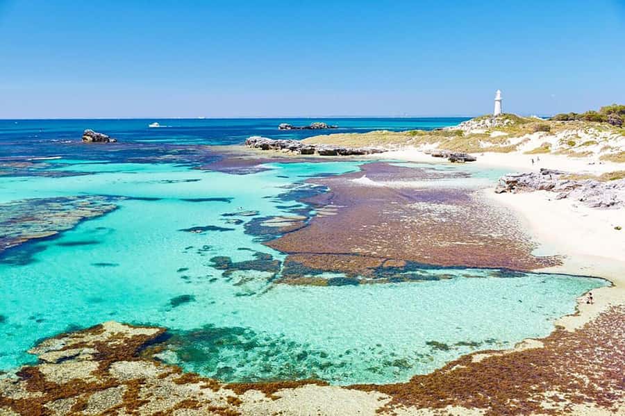 Rottnest Fortress Adventure Segway Package - Key points to know before booking