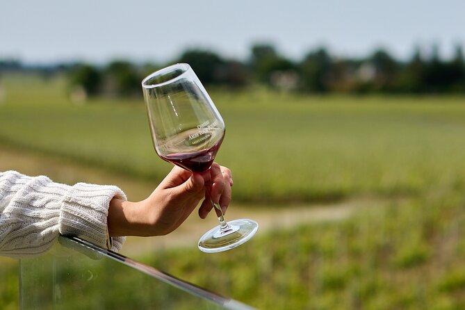 Saint-Émilion day tour: village visit, Châteaux and lunch - Two more estates, two different views of Bordeaux wine