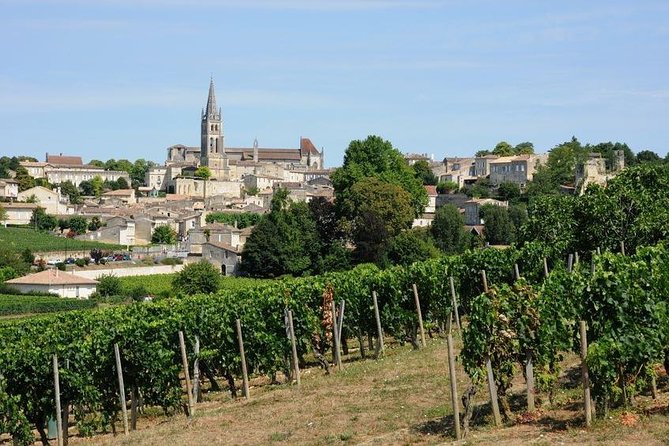 Saint-Émilion day tour: village visit, Châteaux and lunch - Who should book this tour?
