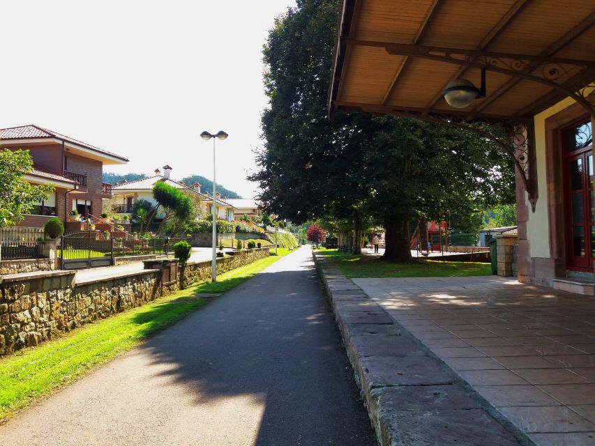 Santander: El Castillo Caves & Paleolithic Art Tour - Key points to know