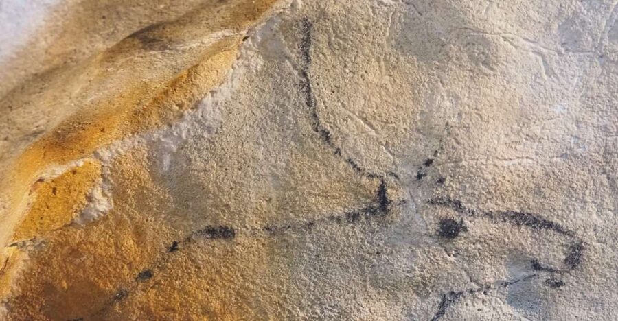 Santander: El Castillo Caves & Paleolithic Art Tour - Why these caves are worth leaving Santander for