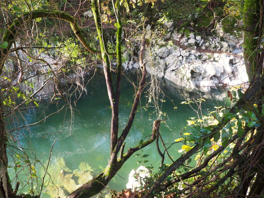 Santander: El Castillo Caves & Paleolithic Art Tour - Walking to Las Monedas