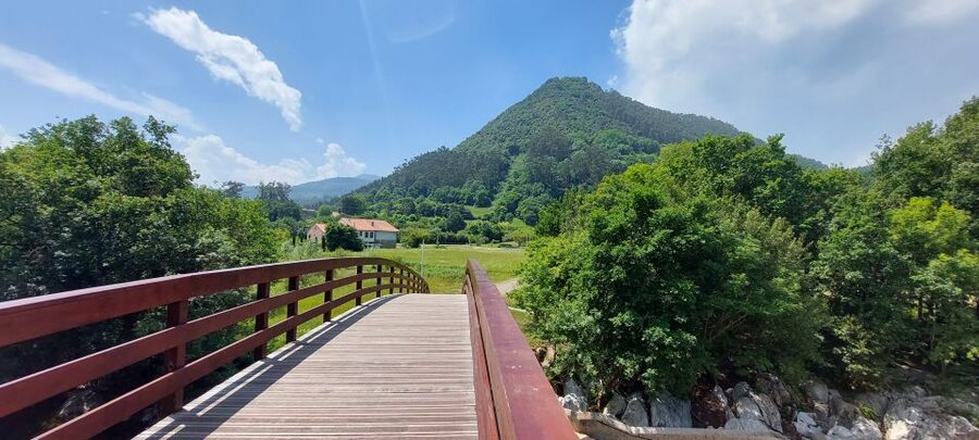 Santander: El Castillo Caves & Paleolithic Art Tour - Who will enjoy this most