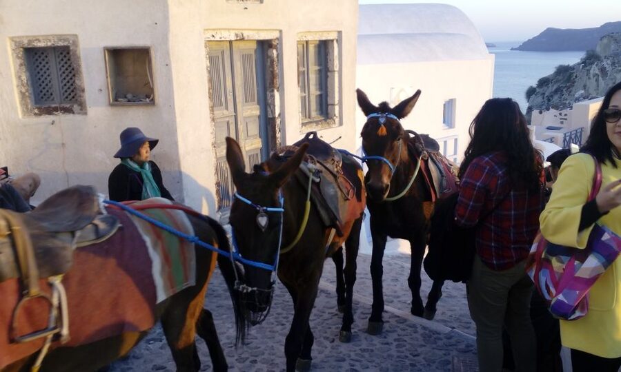 Santorini: Small-Group Highlights Tour of Venetian Castles - The minivan, group size, and walking demands