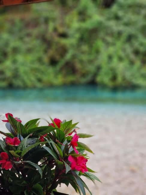Sarande: Blue Eye Spring and Lekursi Castle Sunset Tour - Who should book this experience?