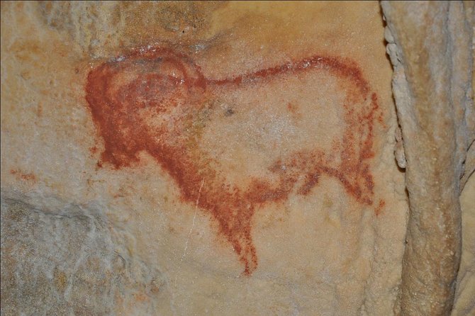 Sarlat : Private Tour to Prehistoric Cave + Castle by Exploreo24 - Inside Grottes de Cougnac and its 30,000-year-old art