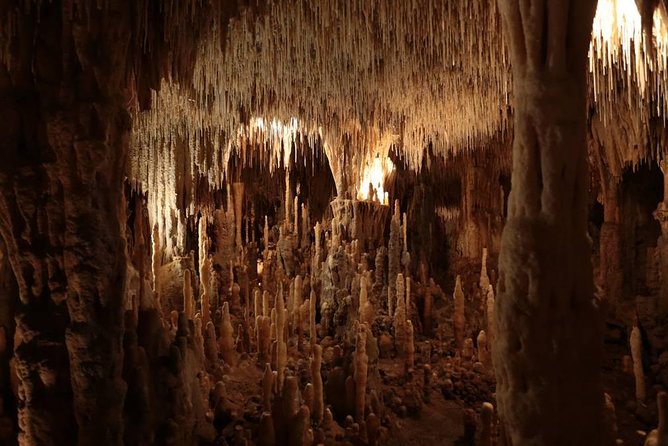Sarlat : Private Tour to Prehistoric Cave + Castle by Exploreo24 - A quick stop at La Roque-Gageac