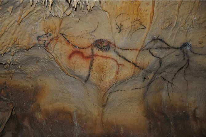 Sarlat : Private Tour to Prehistoric Cave + Castle by Exploreo24 - What the Cro-Magnon fire demonstration adds