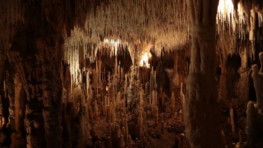 Sarlat : Private tour to Prehistoric Cave + Medieval Castle - Practical advice for a smoother visit