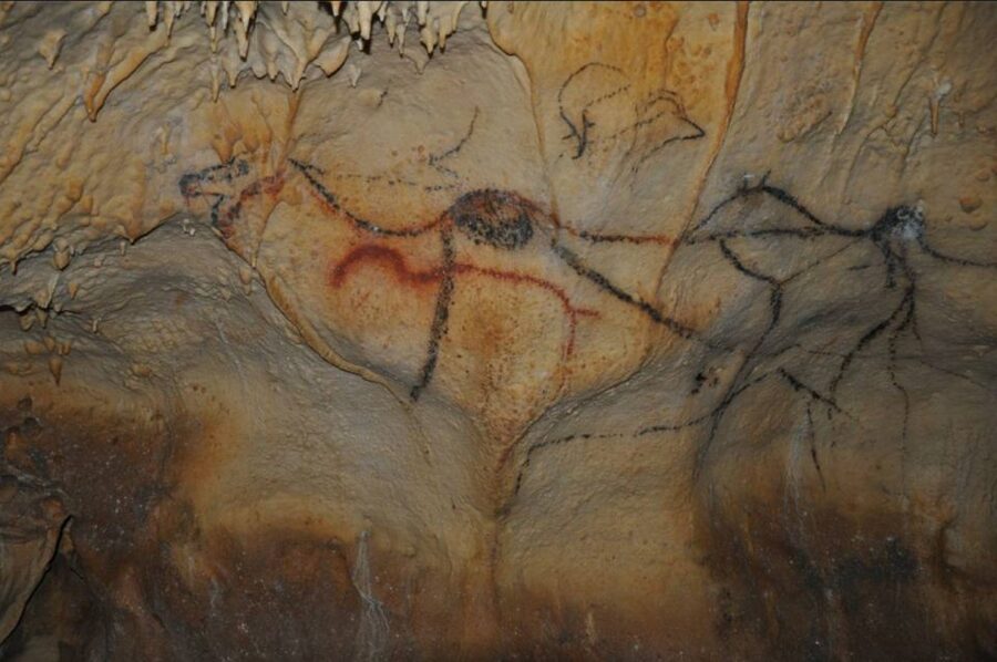 Sarlat : Private tour to Prehistoric Cave + Medieval Castle - Entering a cave with 30,000-year-old art