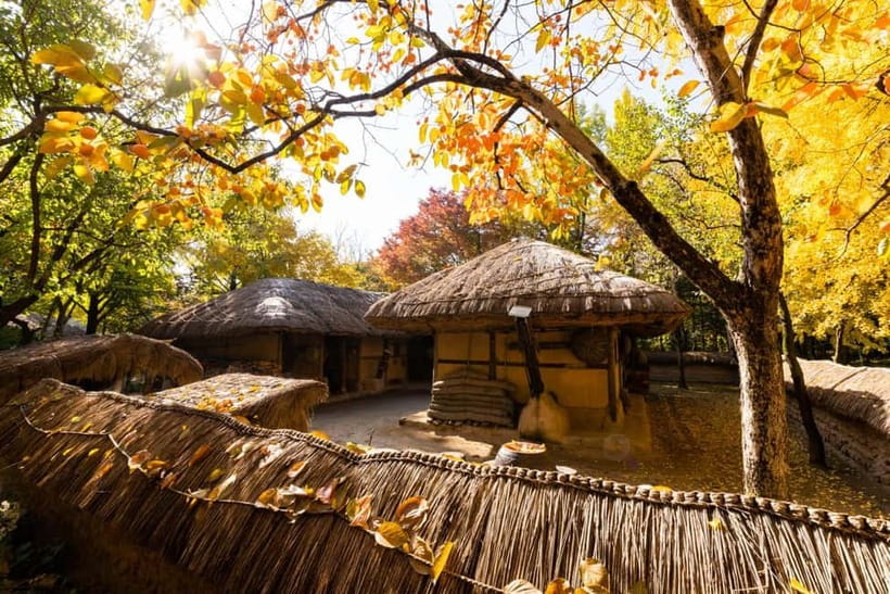 Seoul: Suwon Hwaseong Fortress & Korean Folk Village Tour - Who should book this experience
