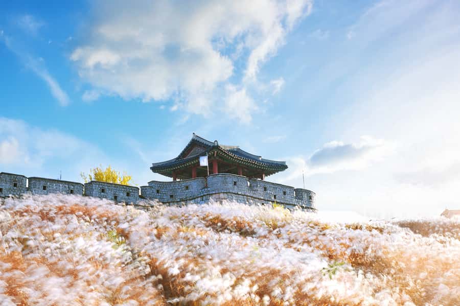 Seoul : Suwon Hwaseong Fortress+Starfield Library+Waujeongsa - Why this Suwon day trip works so well