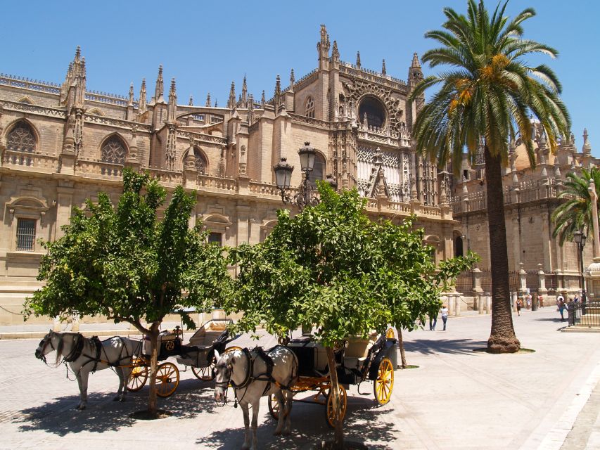 Seville: Alcázar Guided Palace Tour with Priority Access - My recommendation