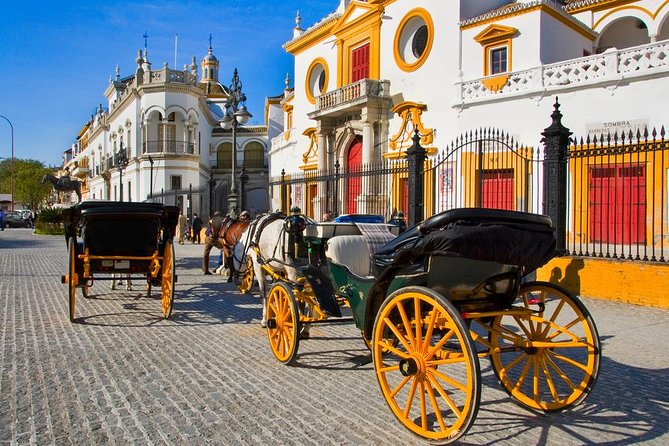 Seville & Alcazar Skip the Line from Cadiz Port (Cruisers Only) - Who Should Book This Seville Shore Excursion