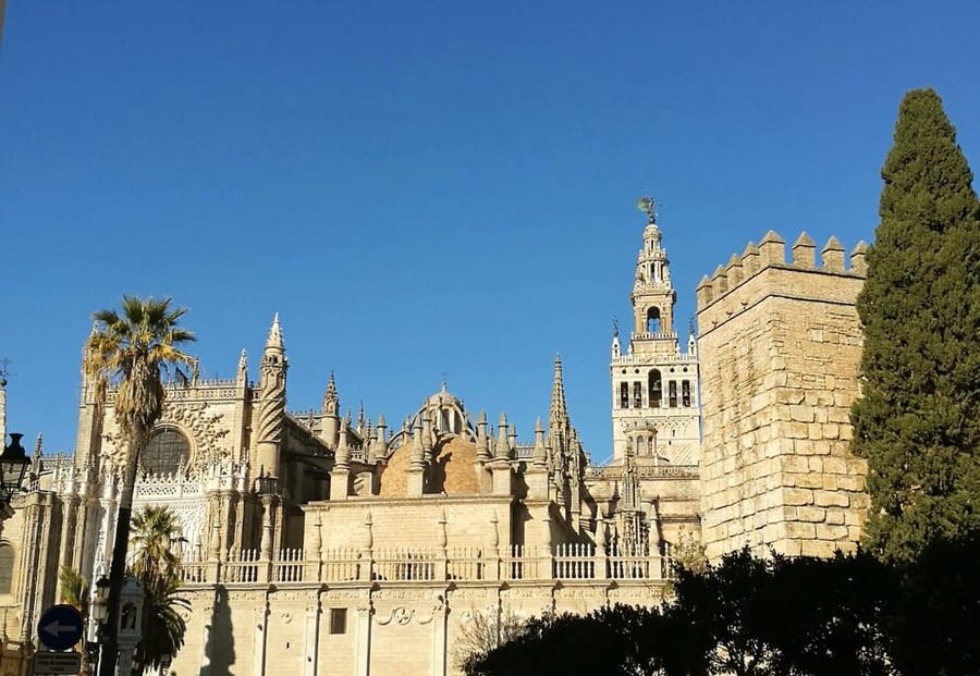 Seville: Cathedral & Alcázar Guided Tour with River Cruise - The Guadalquivir cruise and Seville from the water